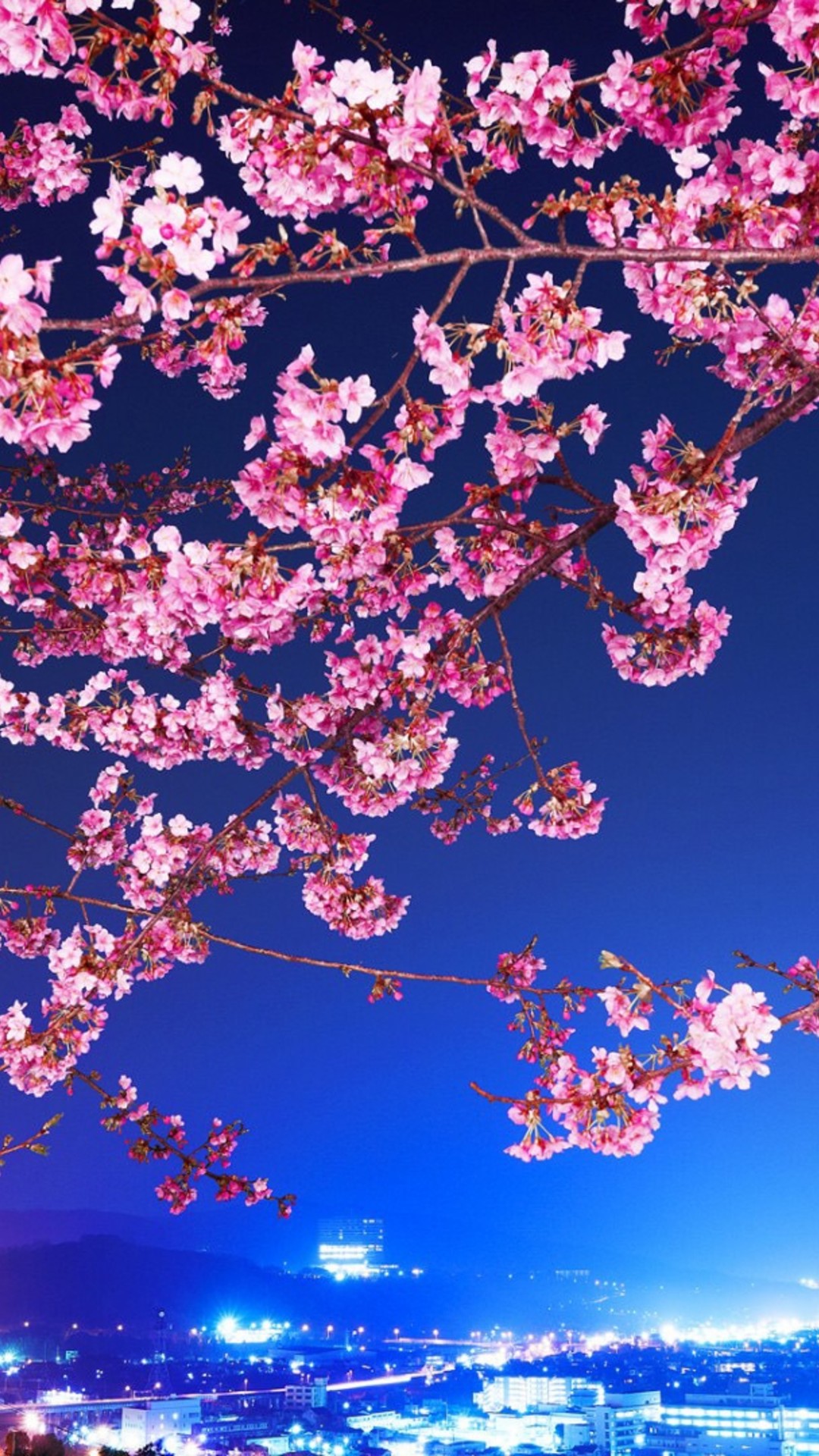 Cherry Blossom Iphone Full Hd Wallpaper - Cherry Blossom Iphone Background - HD Wallpaper 