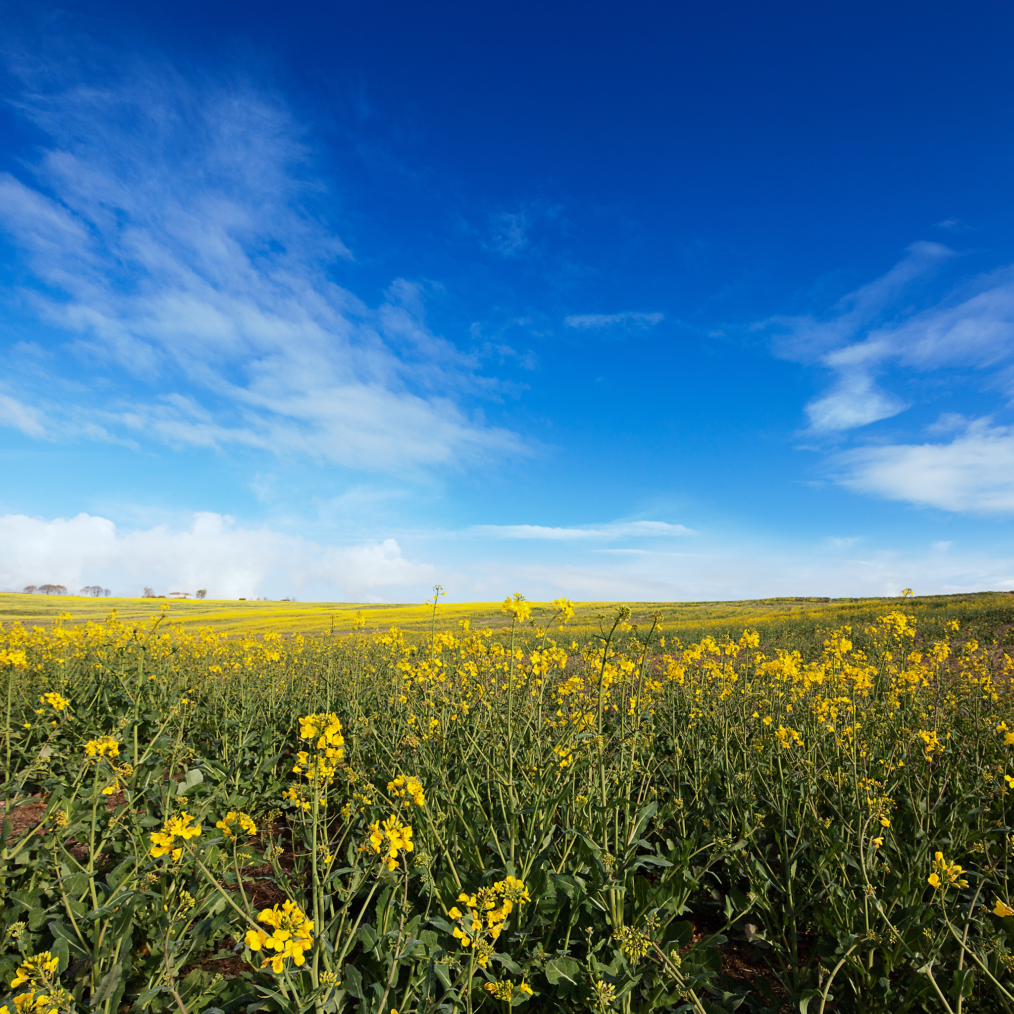 40 Free Hd Retina Display Ipad 3 Wallpapers - HD Wallpaper 