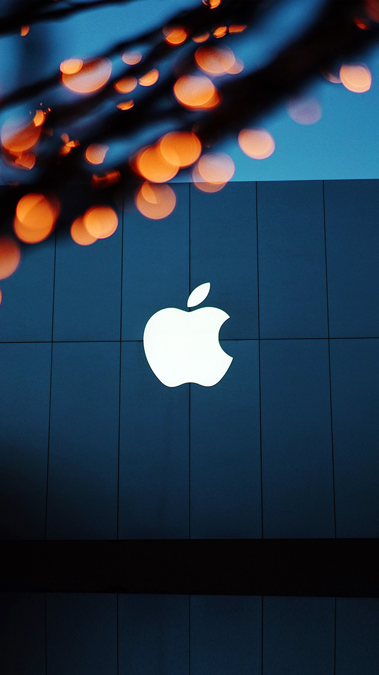 Apple Store - HD Wallpaper 