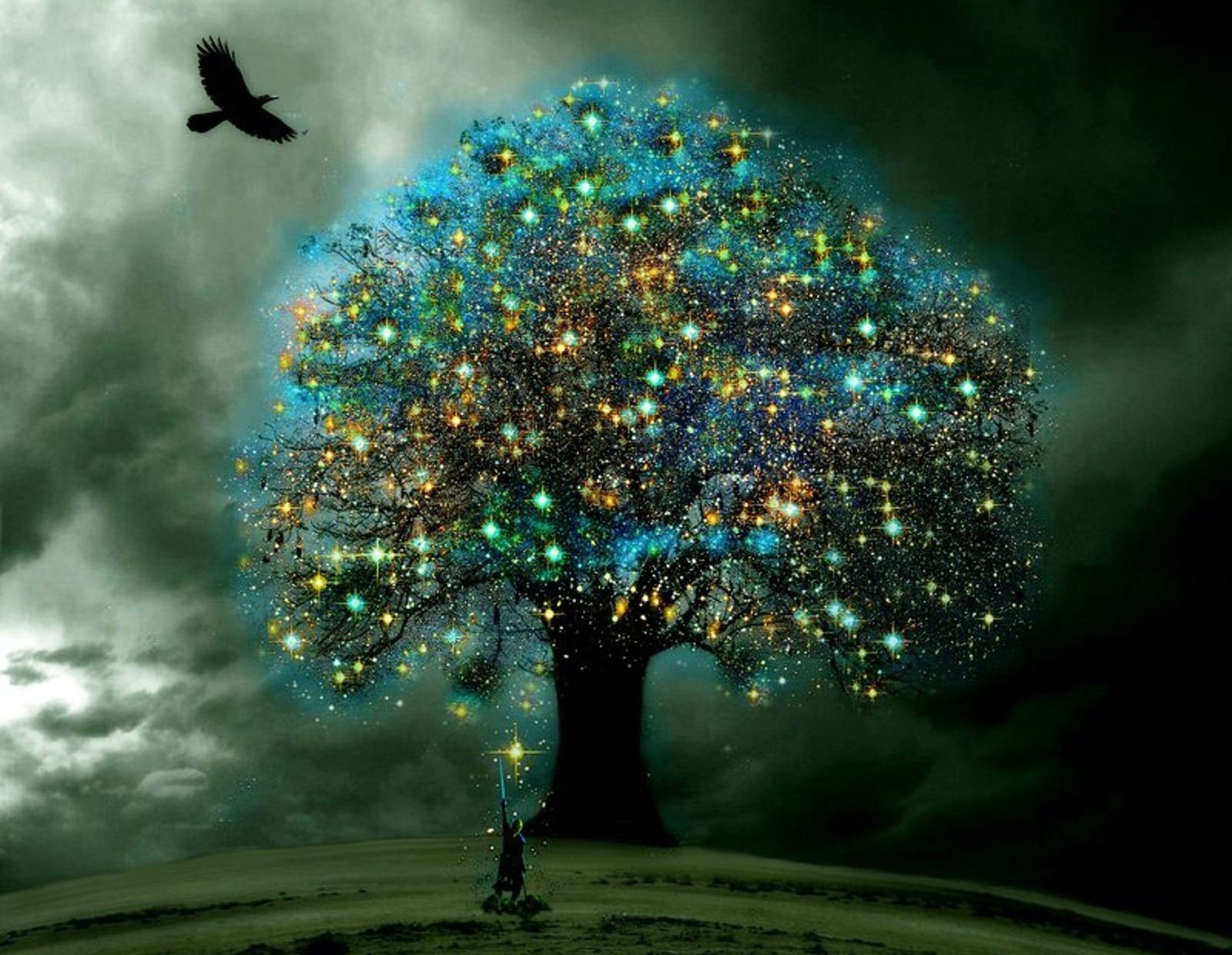 Magical Tree - HD Wallpaper 
