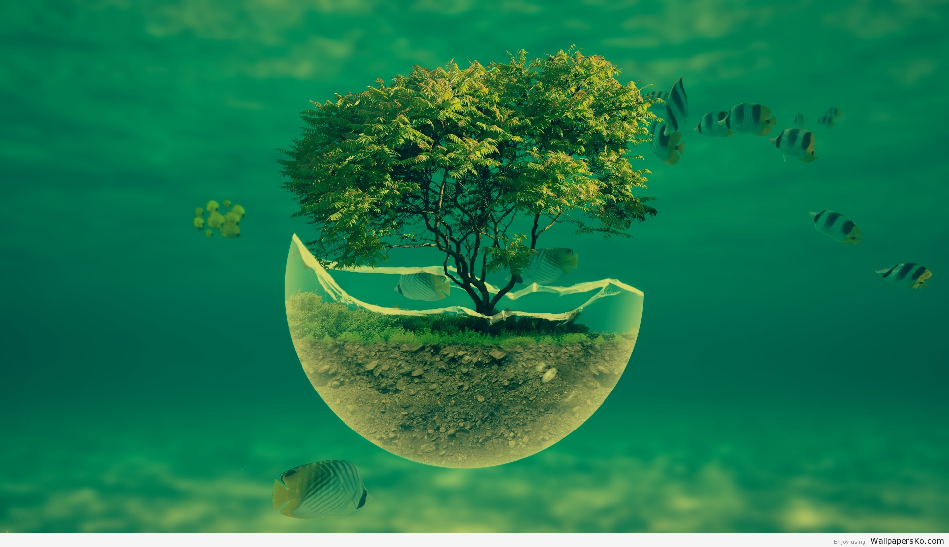 Hd Wallpaper - Hd Wall Paper - HD Wallpaper 