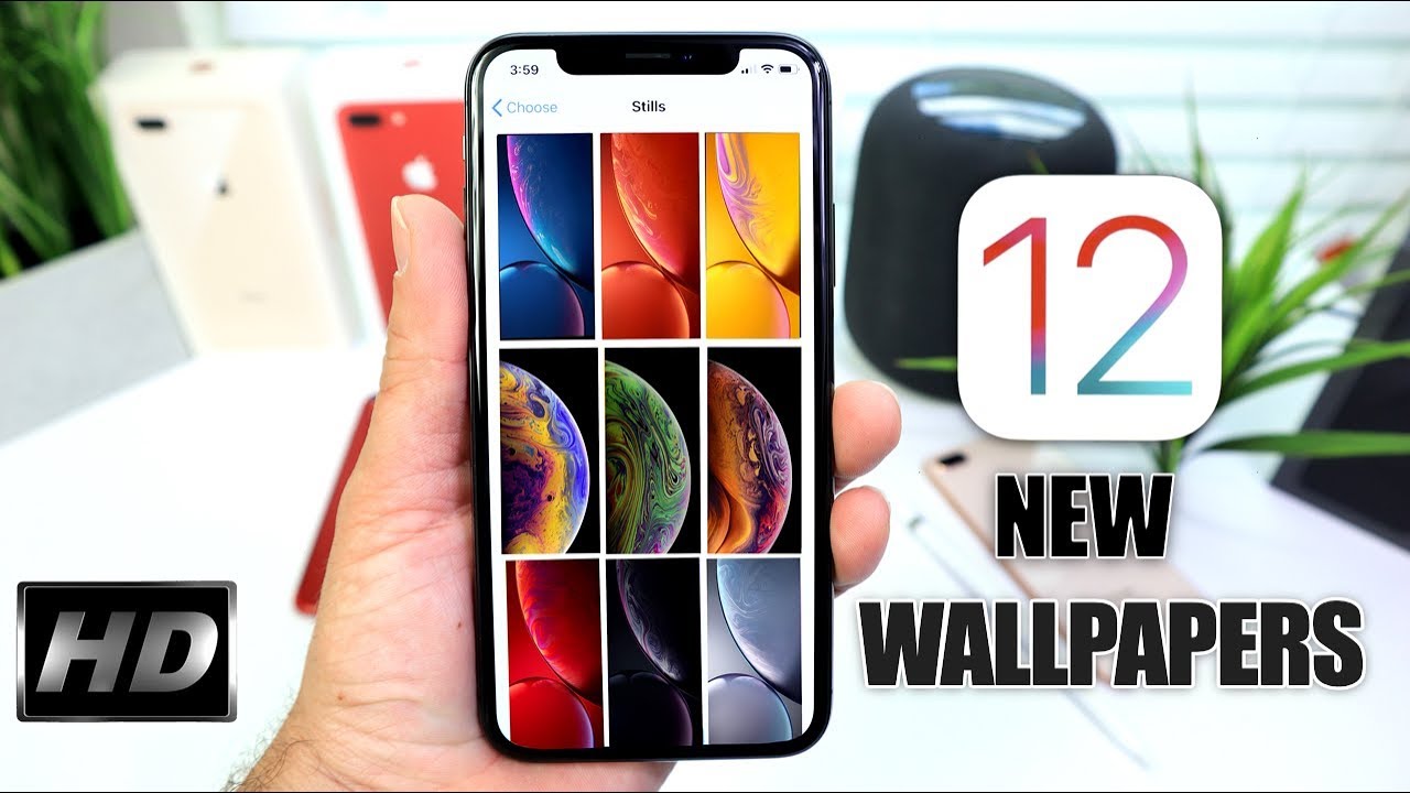 Iphone - HD Wallpaper 