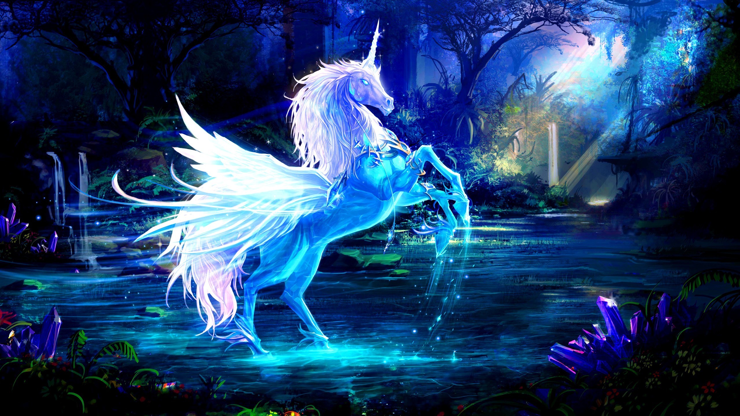 Wallpaper Unicorn, Water, Forest, Night, Magic - Pegasus Hd - HD Wallpaper 
