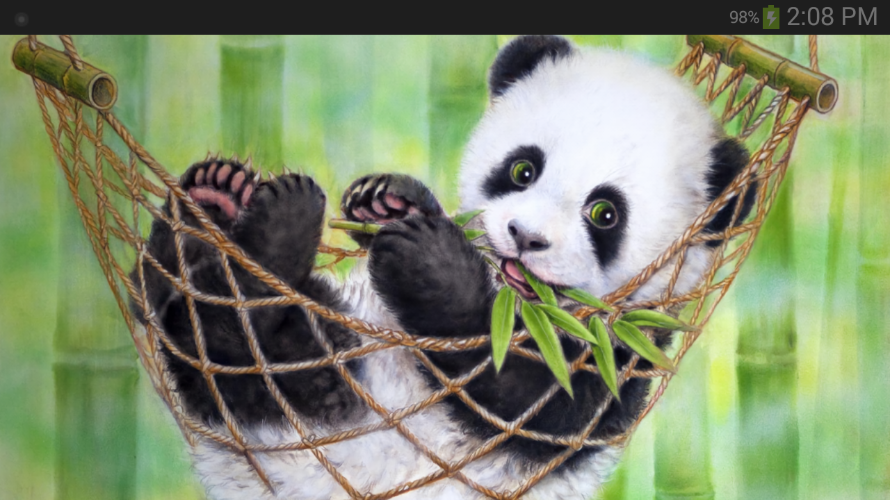 Cute Panda In Hammock - HD Wallpaper 