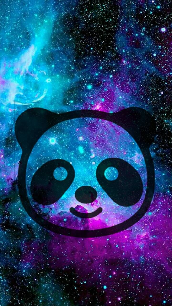 Galaxy Panda - HD Wallpaper 