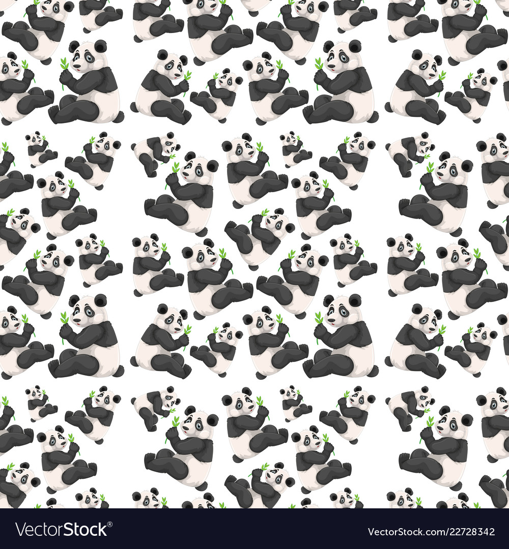 Panda Wallpar - HD Wallpaper 
