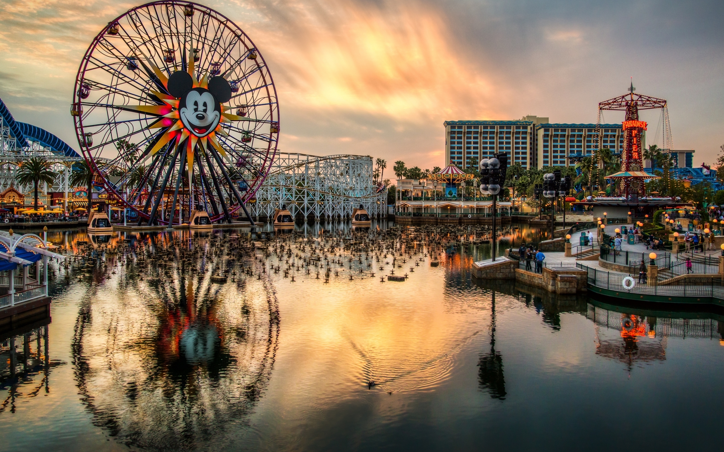 Anaheim - HD Wallpaper 