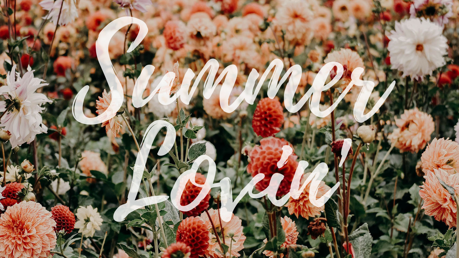 Summer Lovin - High Resolution Floral Background - HD Wallpaper 