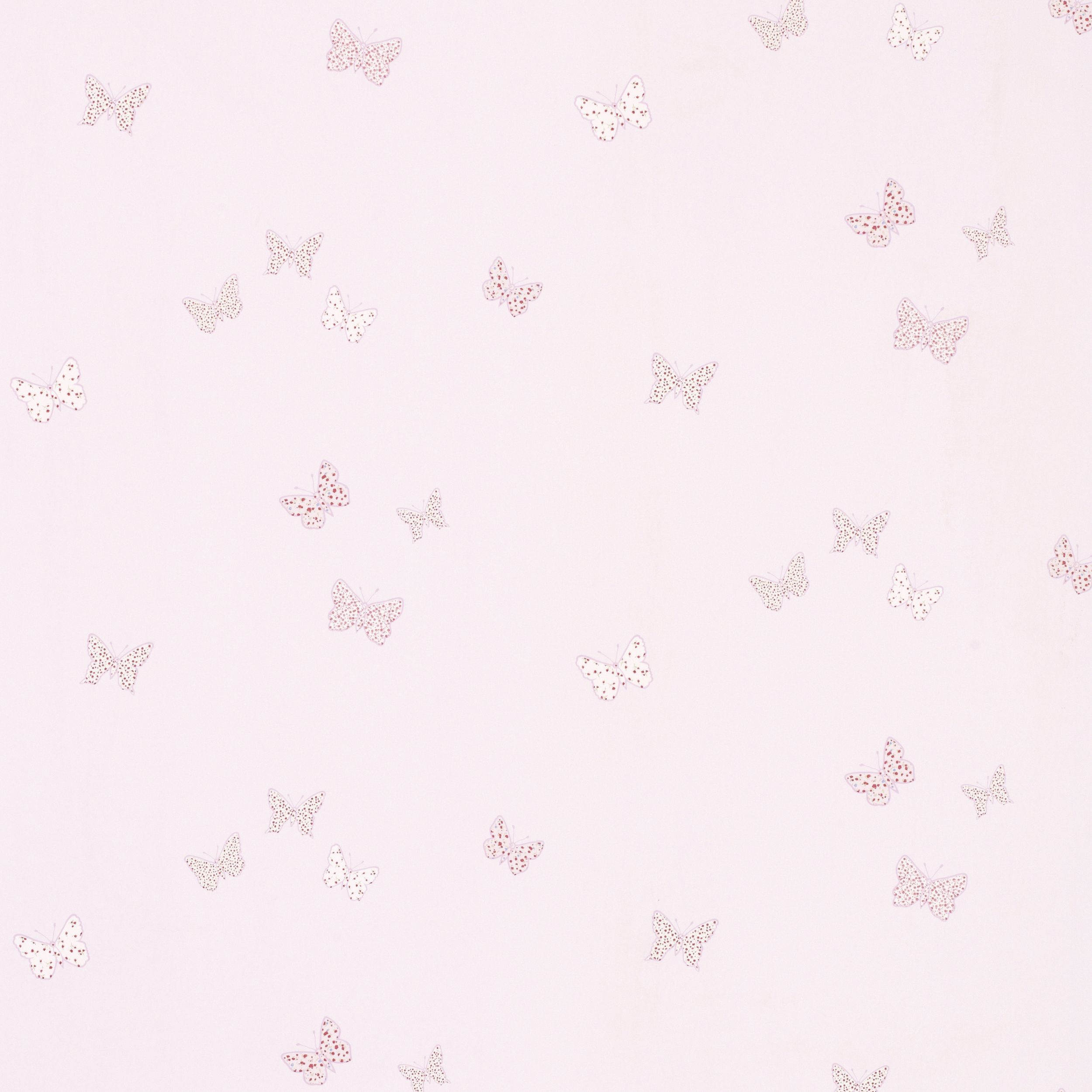 Insect - HD Wallpaper 