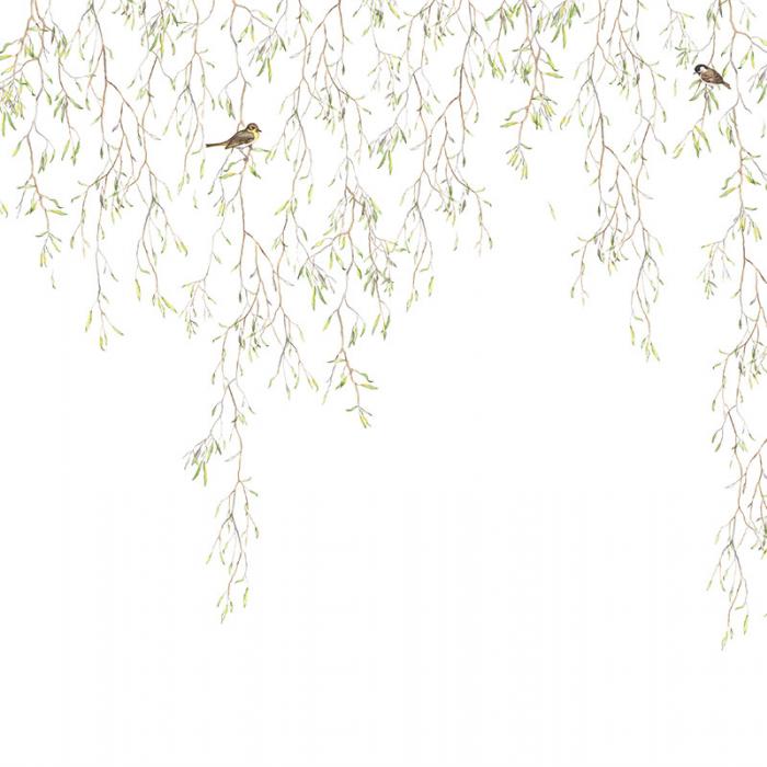 Honeybee - HD Wallpaper 