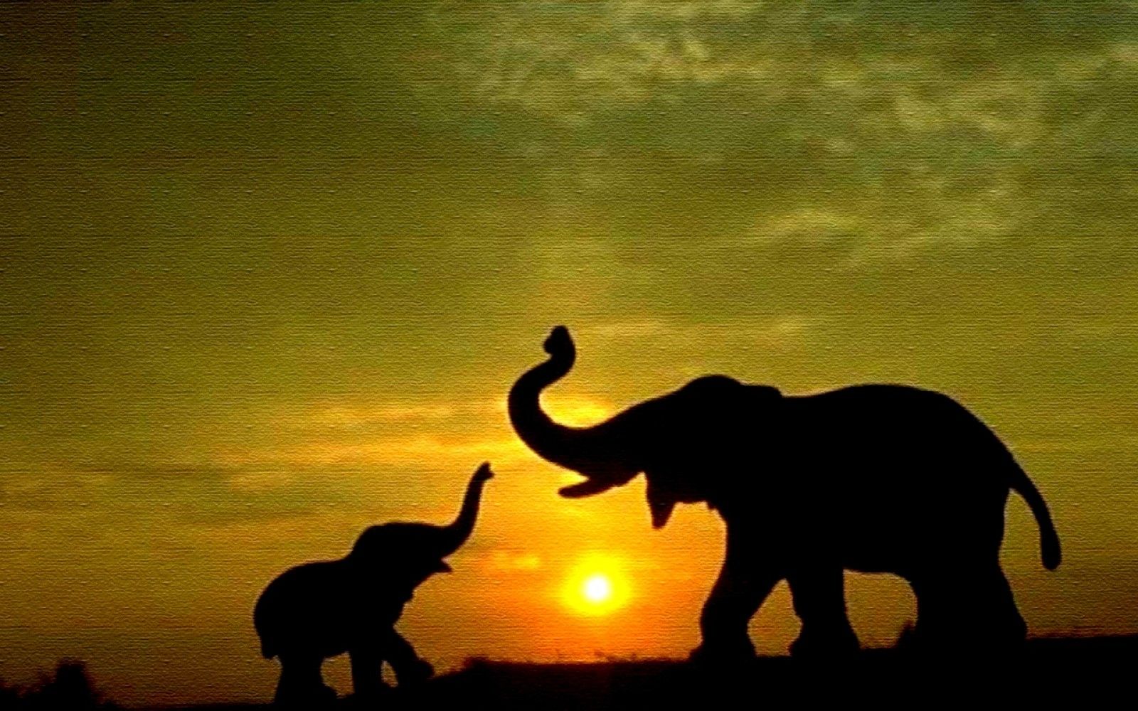 Background Pics For Desktop Elephant - HD Wallpaper 