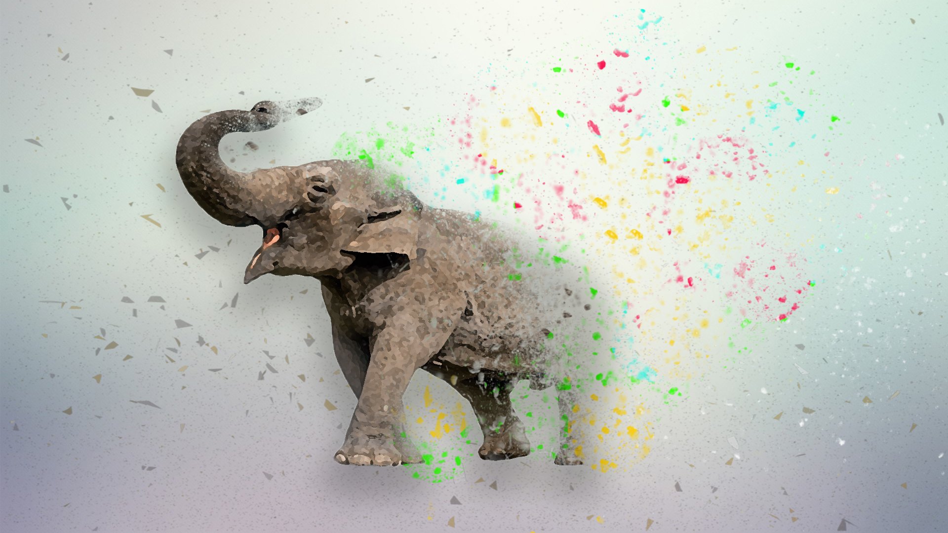 Elephant - HD Wallpaper 