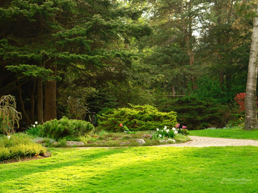 Garden Wallpaper - Cool Garden Background - HD Wallpaper 
