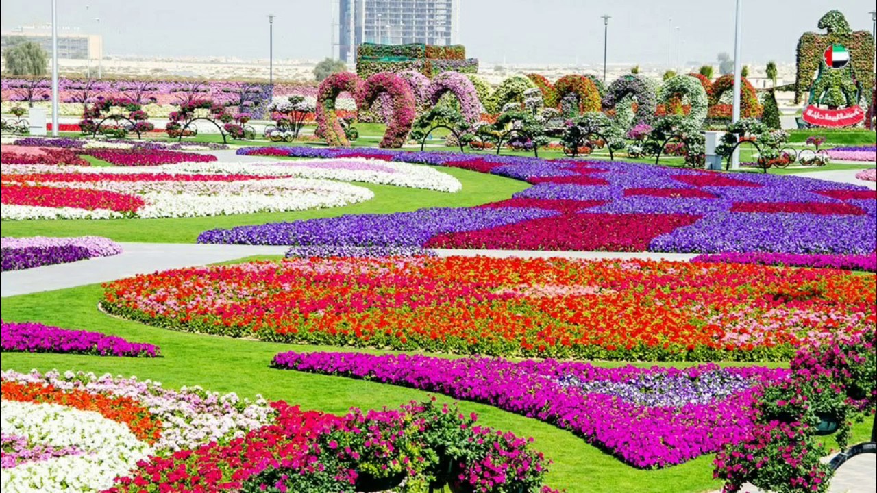 Miracle Garden Dubai Hd - HD Wallpaper 