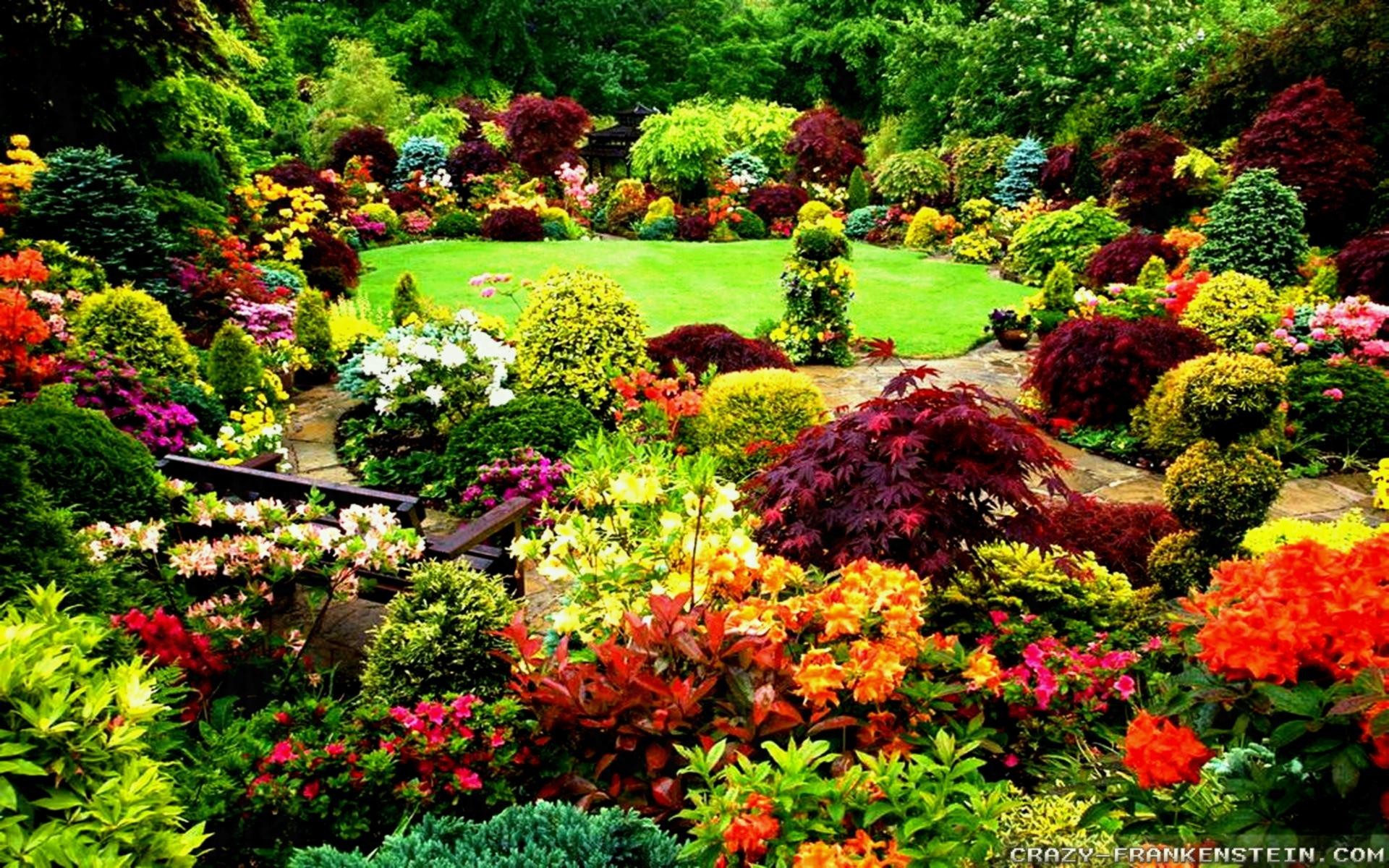 45 Most Beautiful Garden Wallpapers - Bunga Terindah Di Dunia - HD Wallpaper 