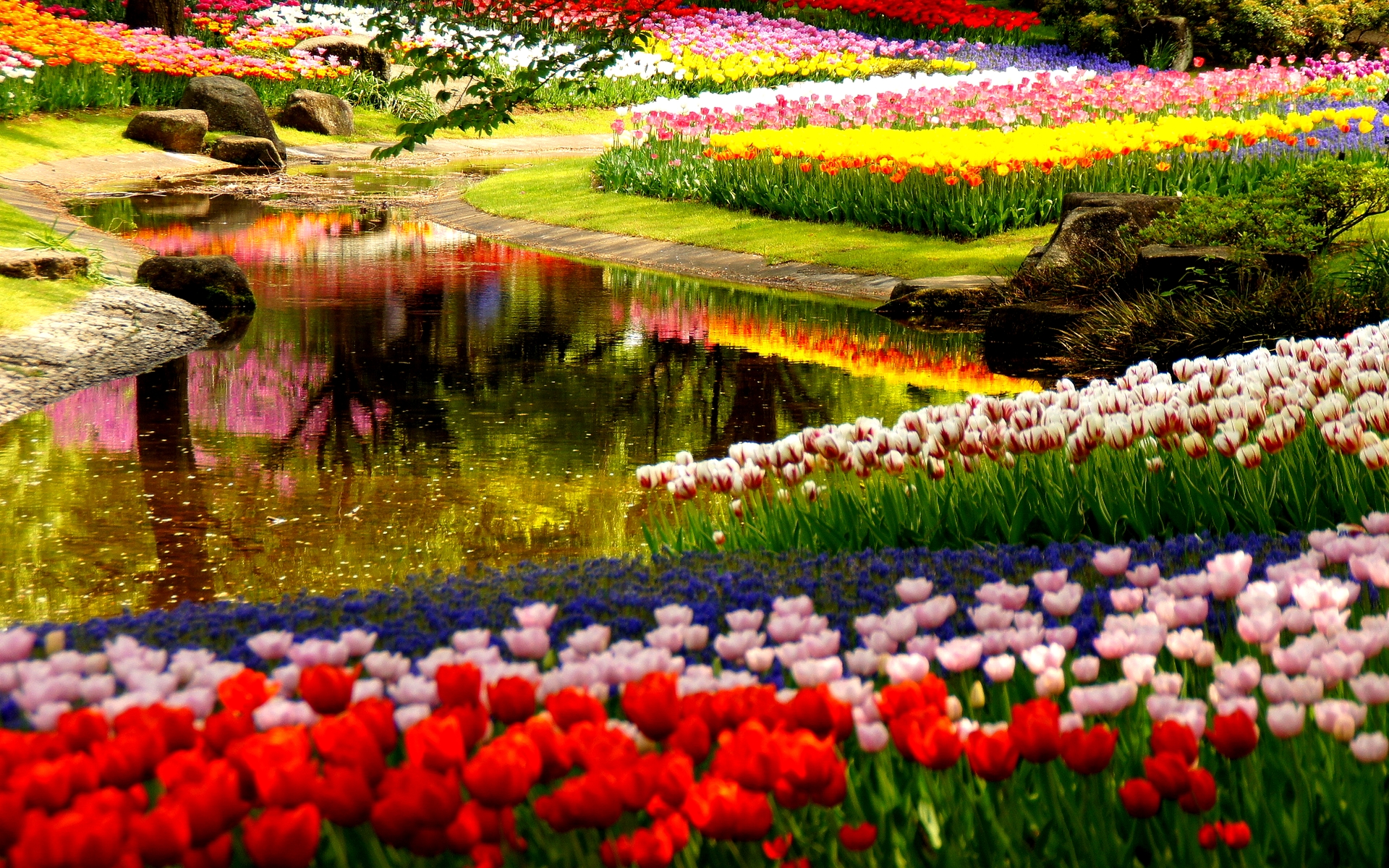 Flower Garden With River - HD Wallpaper 
