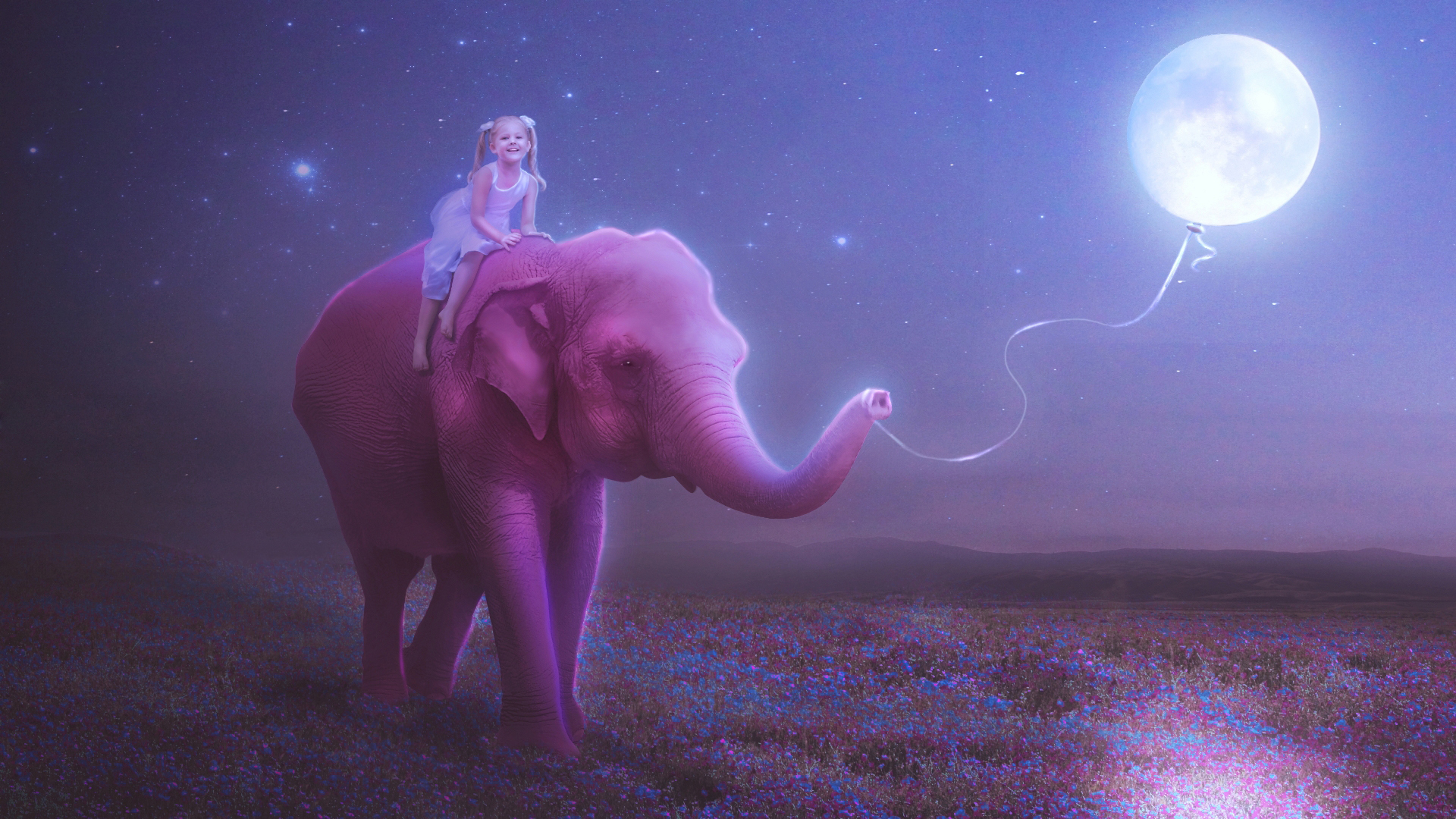 Beautiful Elephant Background - HD Wallpaper 