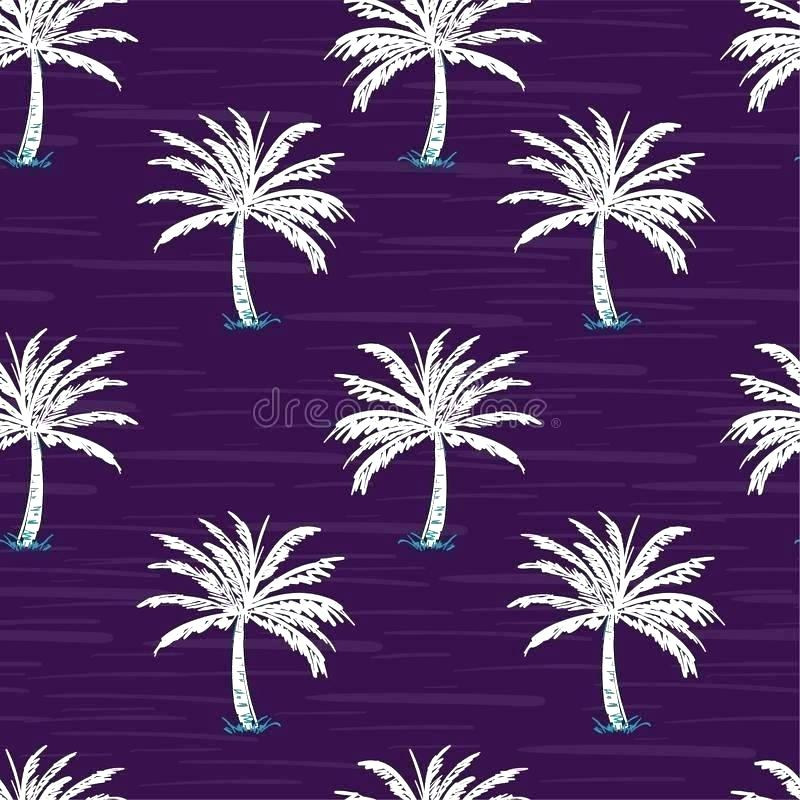 Attalea Speciosa - HD Wallpaper 