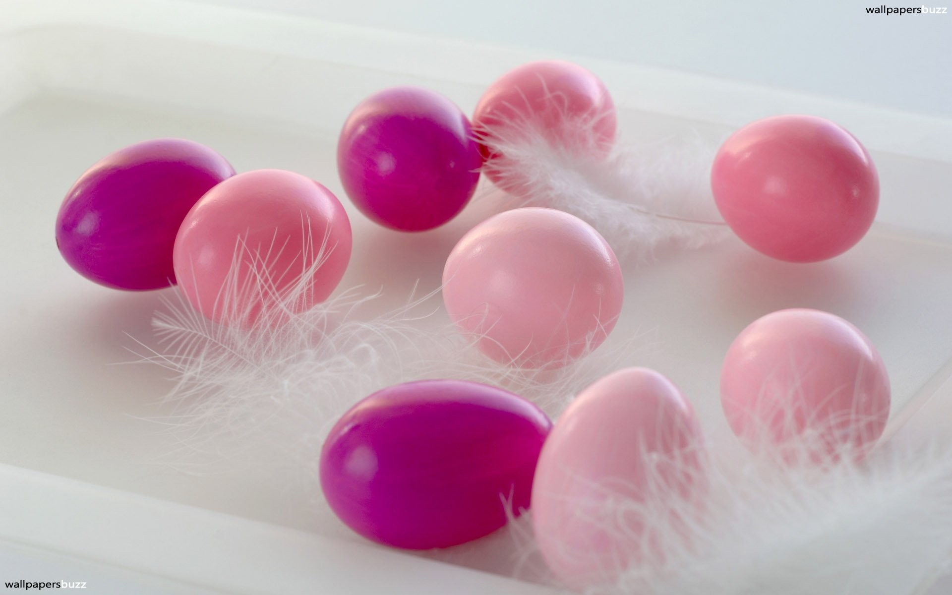 Top Easter Eggs In Fur With Pink Fur Wallpaper 
 Data-src - Hình Nền Gấu Bông Cho Máy Tính - HD Wallpaper 