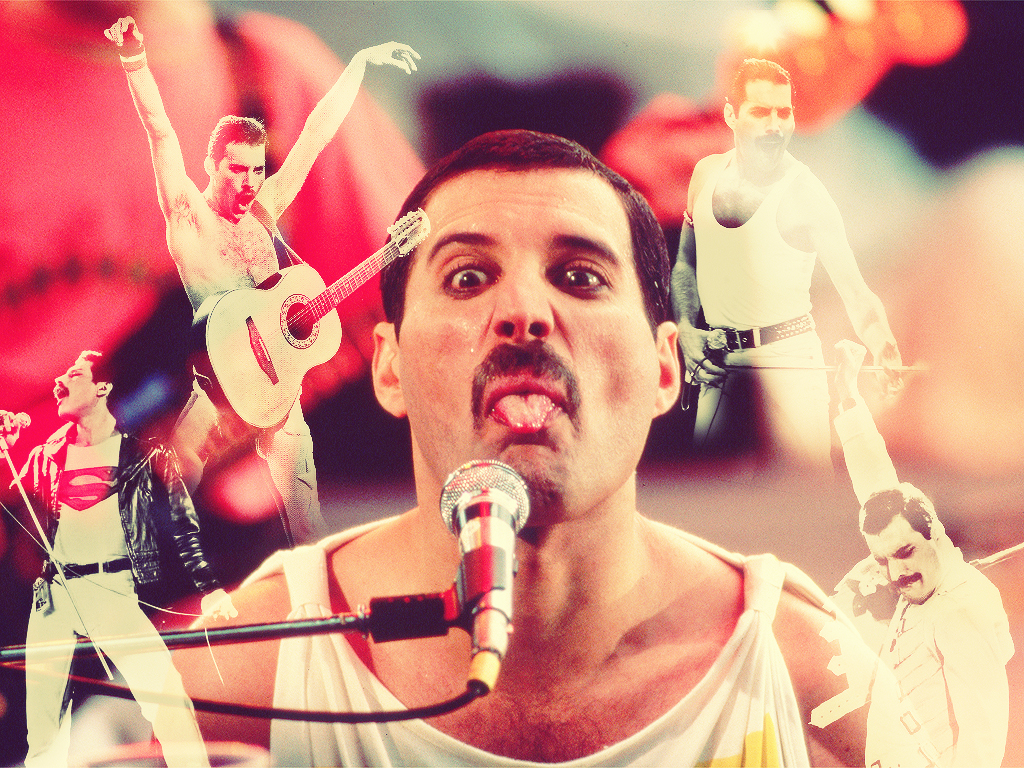 Freddie - HD Wallpaper 