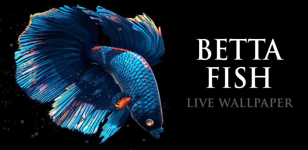 Live Wallpaper Betta Fish - 1024x500 Wallpaper 