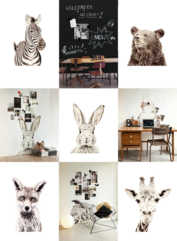 Magnetic Bunny Rabbit - 600x814 Wallpaper Magnetic Bunny Rabbit - 600x814 Wallpaper