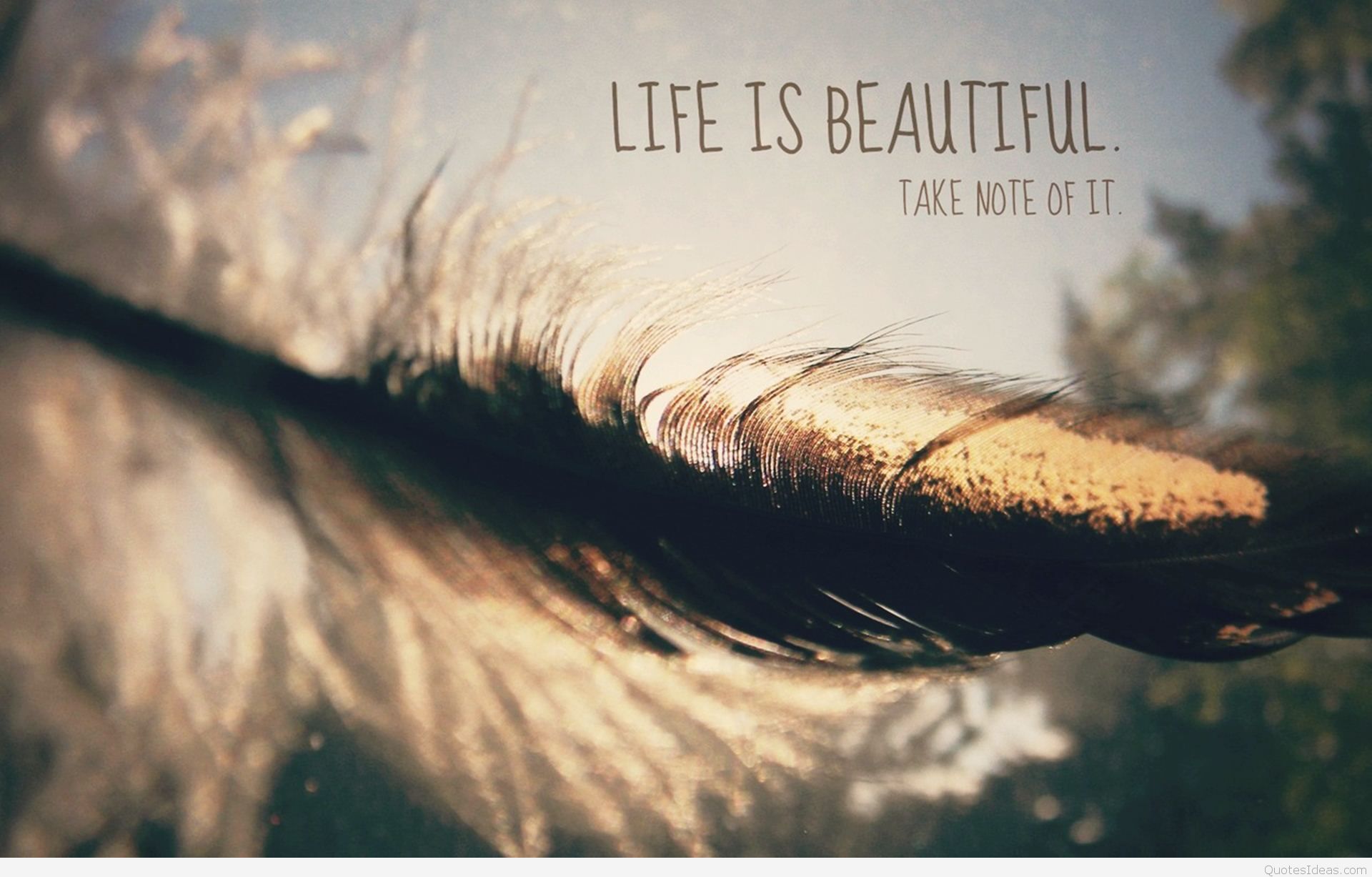 Beautiful Quotes Wallpapers High Quality Dark Quotes - Quotes Background Tumblr Hd - 1920x1227 Wallpaper Beautiful Quotes Wallpapers High Quality Dark Quotes - Quotes Background Tumblr Hd - 1920x1227 Wallpaper