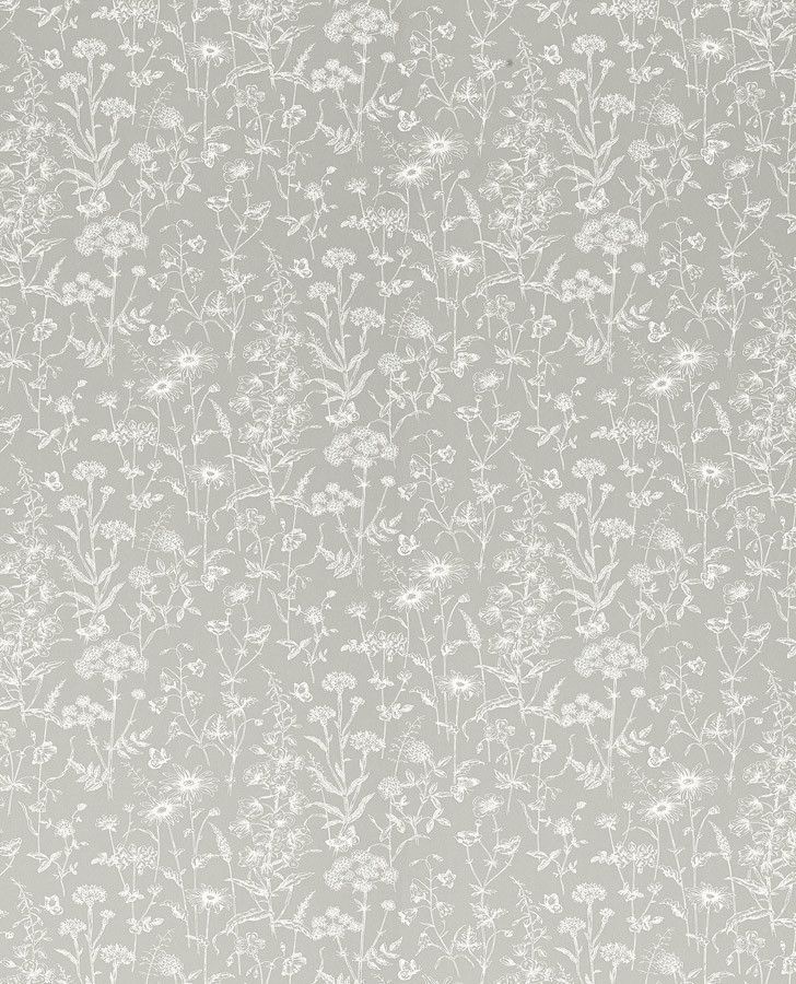 Wallpaper - HD Wallpaper 