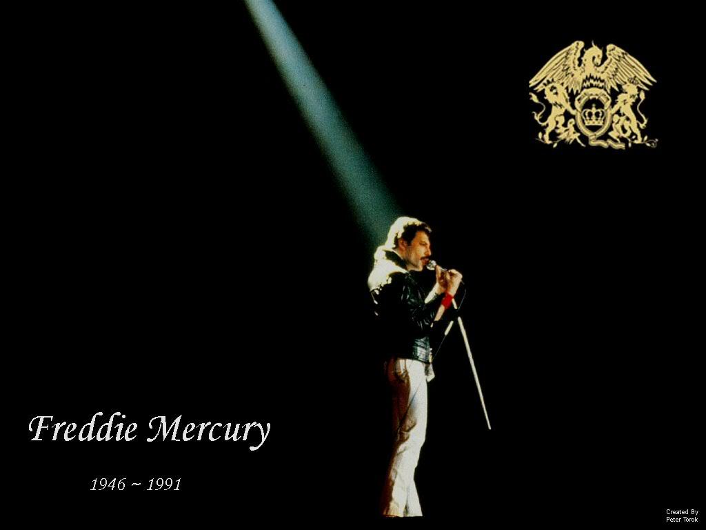 Freddie Mercury - HD Wallpaper 