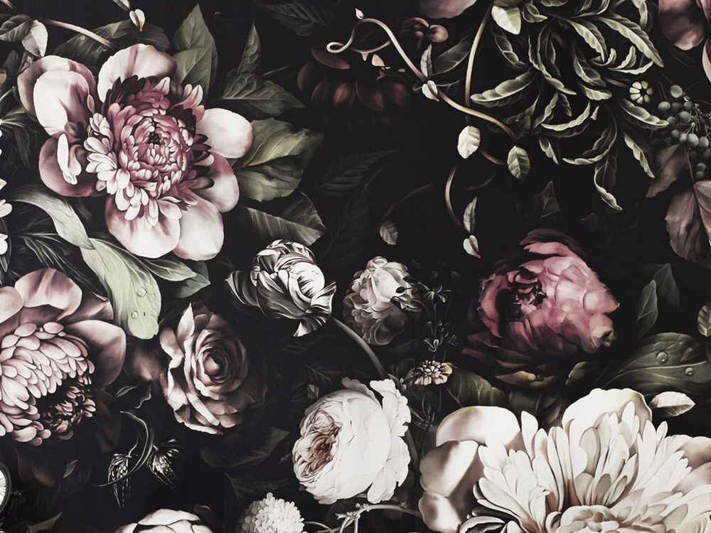 Ellie Cashman - HD Wallpaper 