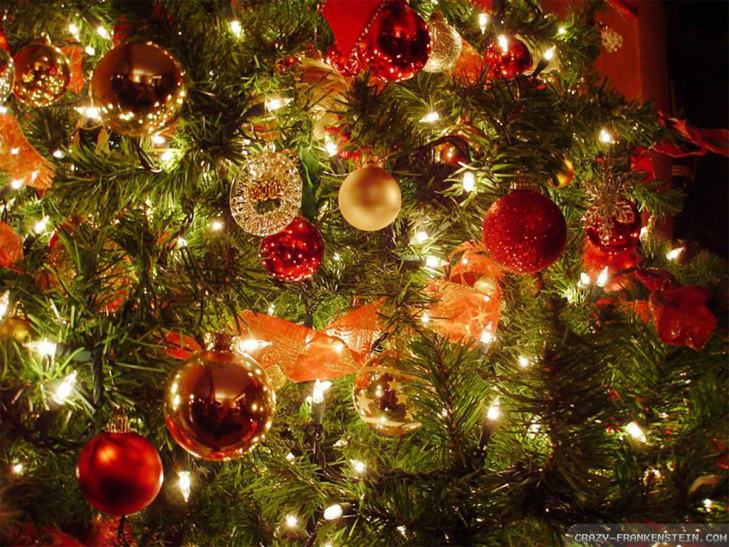 Christmas Tree Lights - HD Wallpaper 