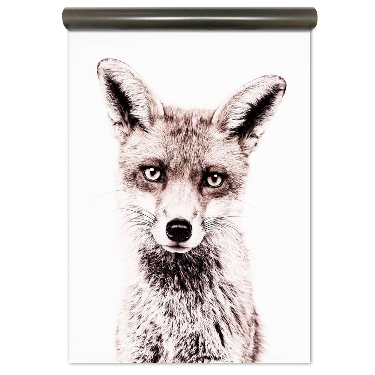 Magnetic Wallpaper Fox - HD Wallpaper 