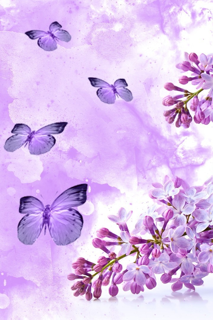 Purple Butterfly Wallpaper Iphone Resolution - Iphone Wallpaper Butterfly Purple - HD Wallpaper 