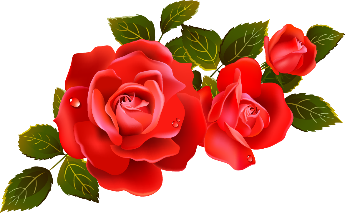 Rose Clip Art - Rose Flower Vector Png - HD Wallpaper 