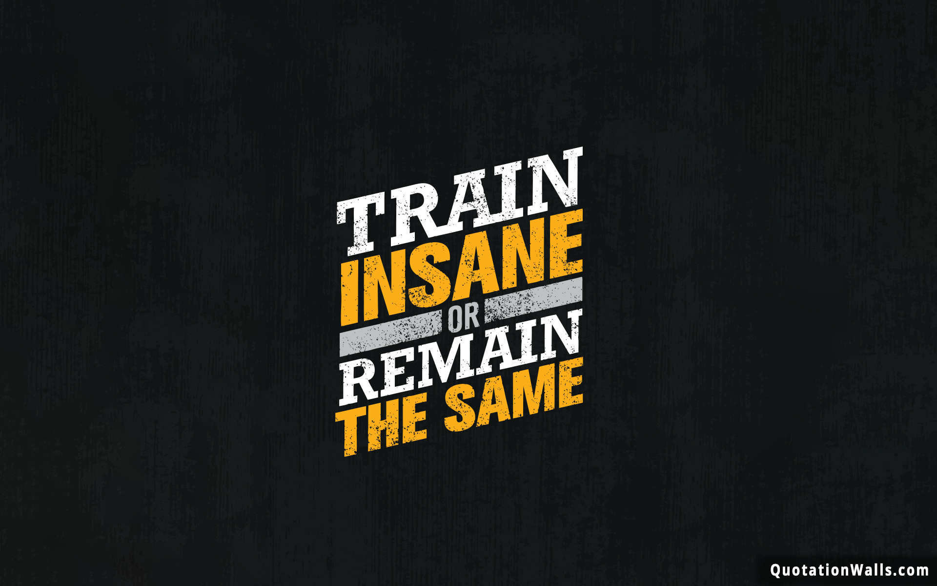 Train Insane Motivational Wallpaper For Mobile - Gym Quotes Wallpaper Hd -  1920x1200 Wallpaper 