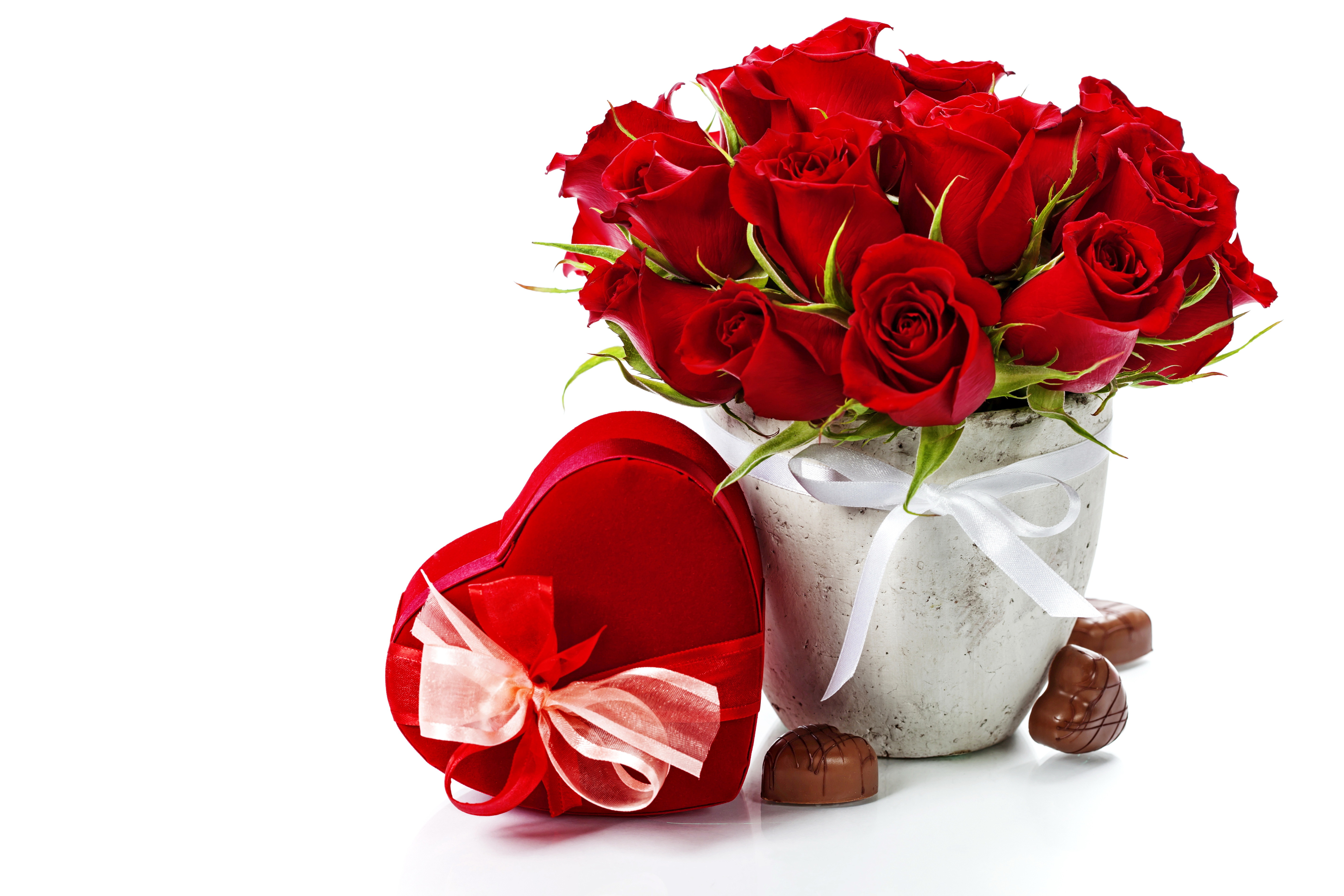 Romantic Lovely Rose Flowers - HD Wallpaper 