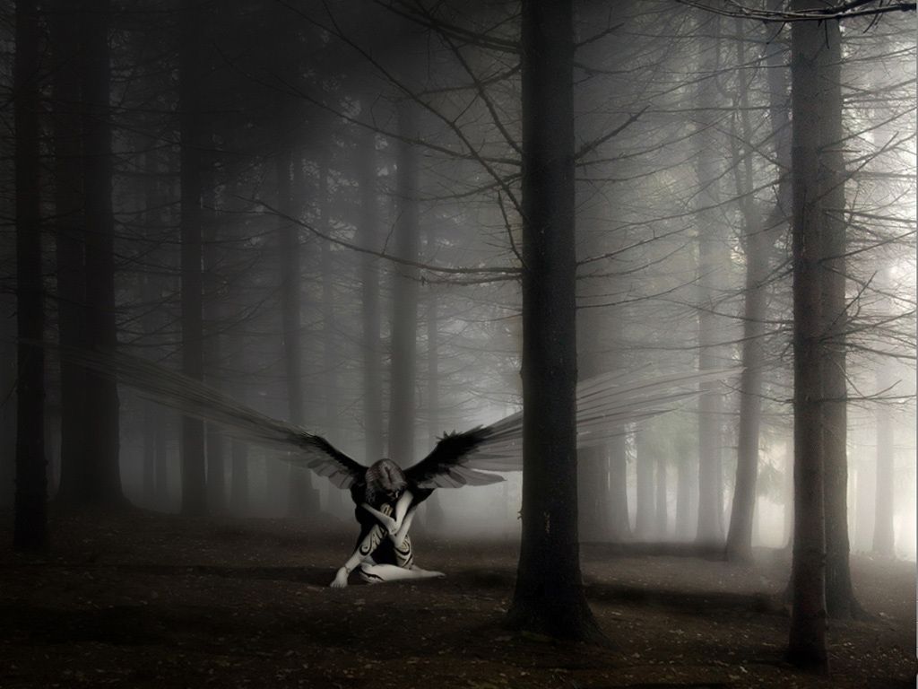 Dark Angel Forest - HD Wallpaper 