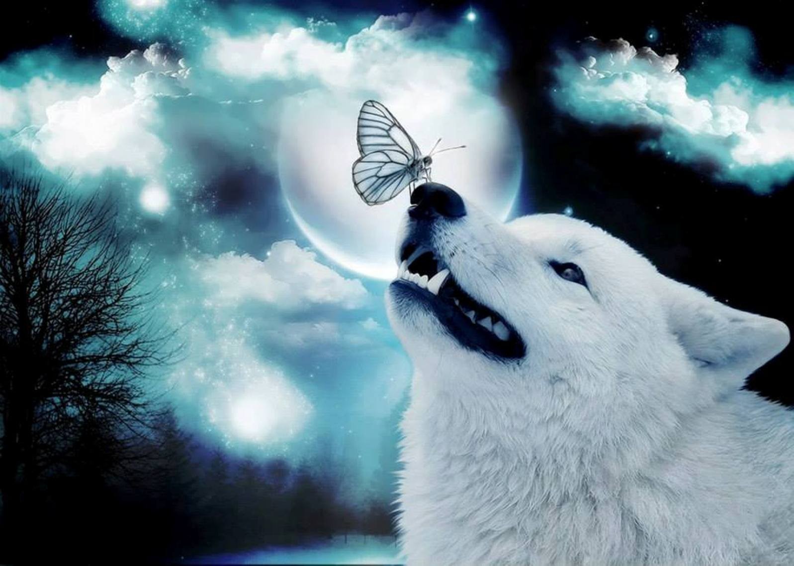 Funny Wallpapers Cute Animals Displar Animal Wallpapers - Cute Animal Wallpapers For Phone - 1597x1140 Wallpaper Funny Wallpapers Cute Animals Displar Animal Wallpapers - Cute Animal Wallpapers For Phone - 1597x1140 Wallpaper