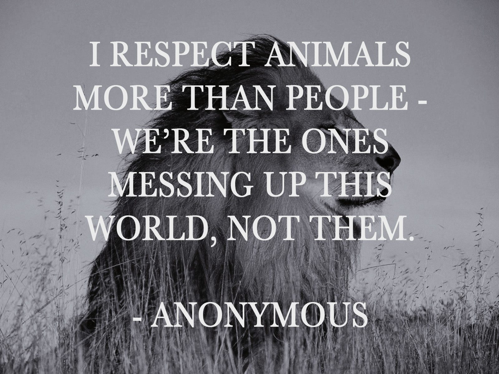Meaningful Quotes Wallpaper - Humanity In Animals Quotes - HD Wallpaper 