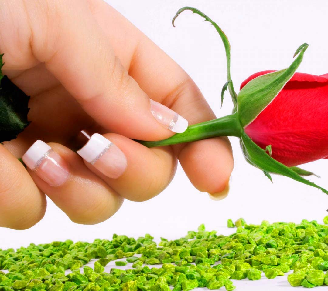 Rose Hands Nails Flowers - Nice Flowers For Love - HD Wallpaper 