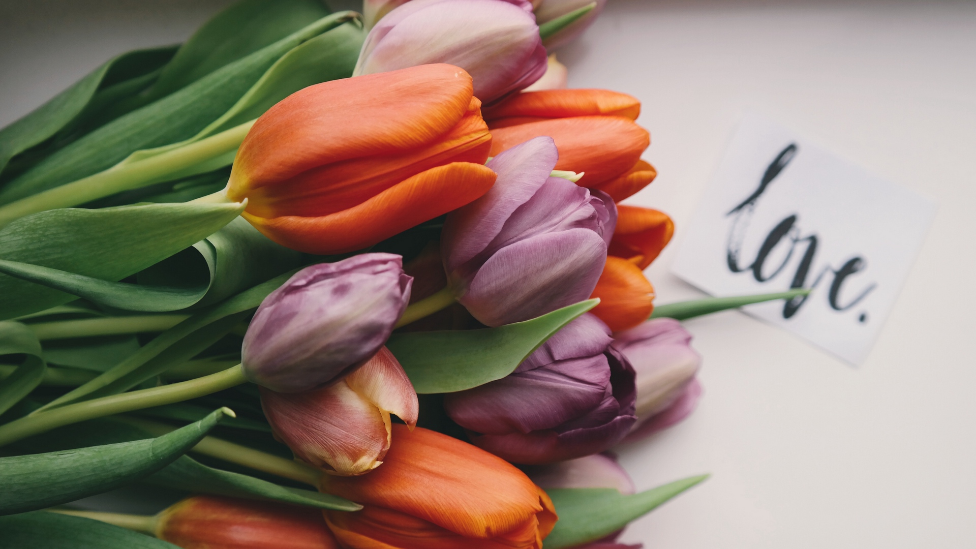 Tulips Bouquet With Love Message - Tulips Bouquet Hd - 1920x1080 Wallpaper  