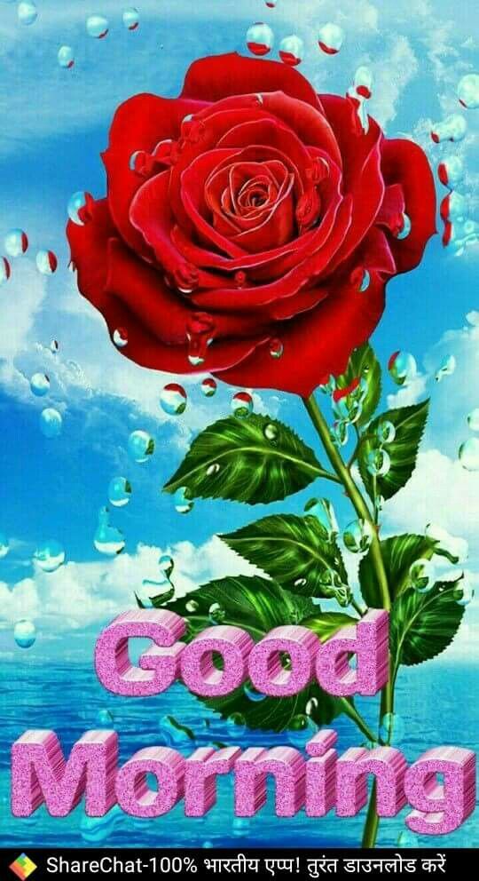 Good Morning Images Whatsapp Share - HD Wallpaper 