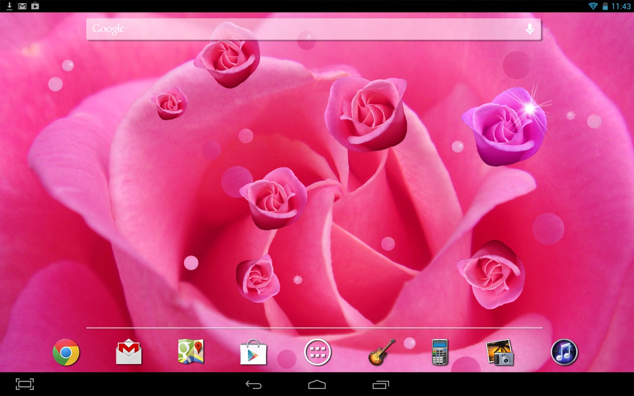 Pink Rose Live Wallpaper - Special Rose - HD Wallpaper 