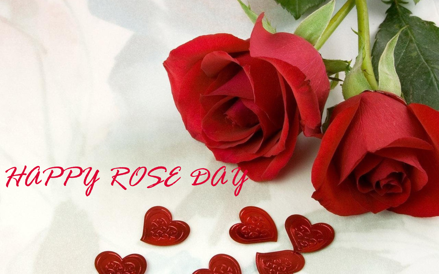 Happy Rose Day My Love - HD Wallpaper 