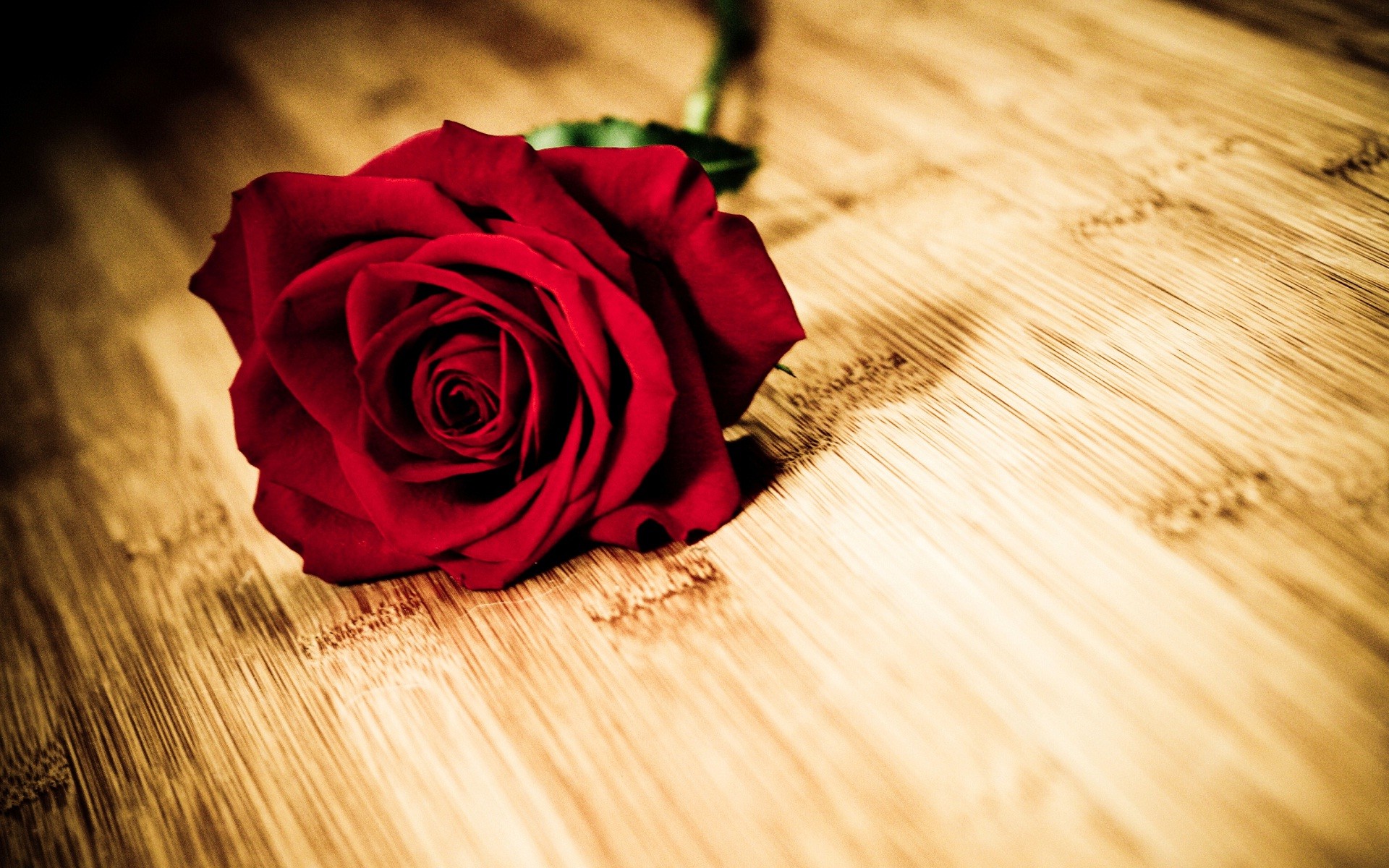 1920x1200, Red Rose Love Flower Nice Wallpaper 
 Data - Eid Mubarak For My Love - HD Wallpaper 