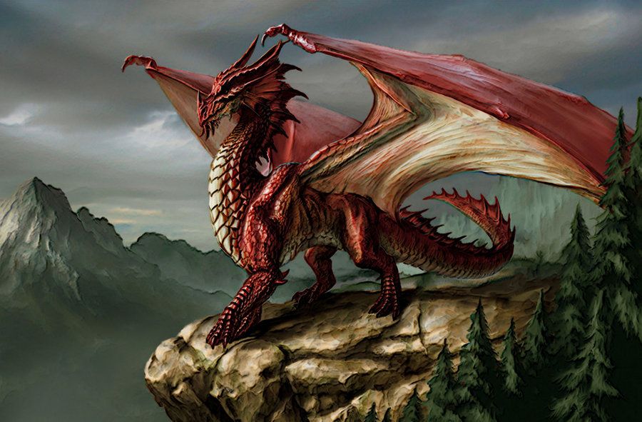 Dragon Fantasy 900x591 Wallpaper Teahub Io