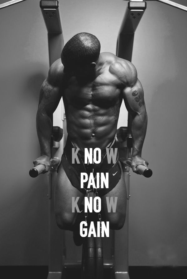 Fitness Motivation Wallpaper - No Pain No Gain Bodybuilding Hd - HD Wallpaper 