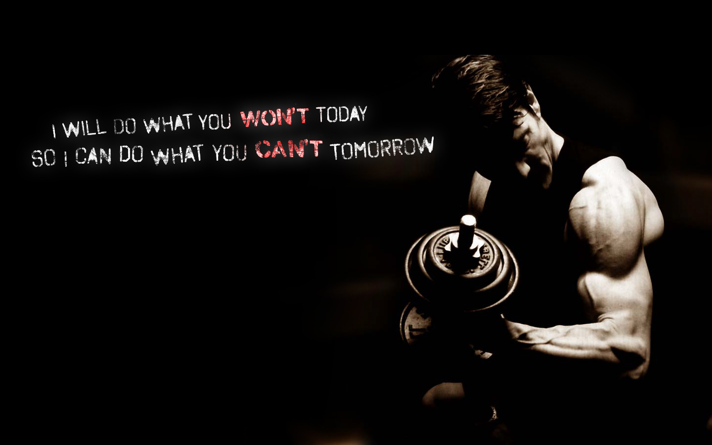Fitness Wallpaper - Will Do What You Won T Today So I Can Do What You Can -  1440x900 Wallpaper 