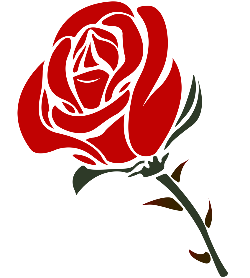 Rose Png - Red Rose Png Vector - HD Wallpaper 