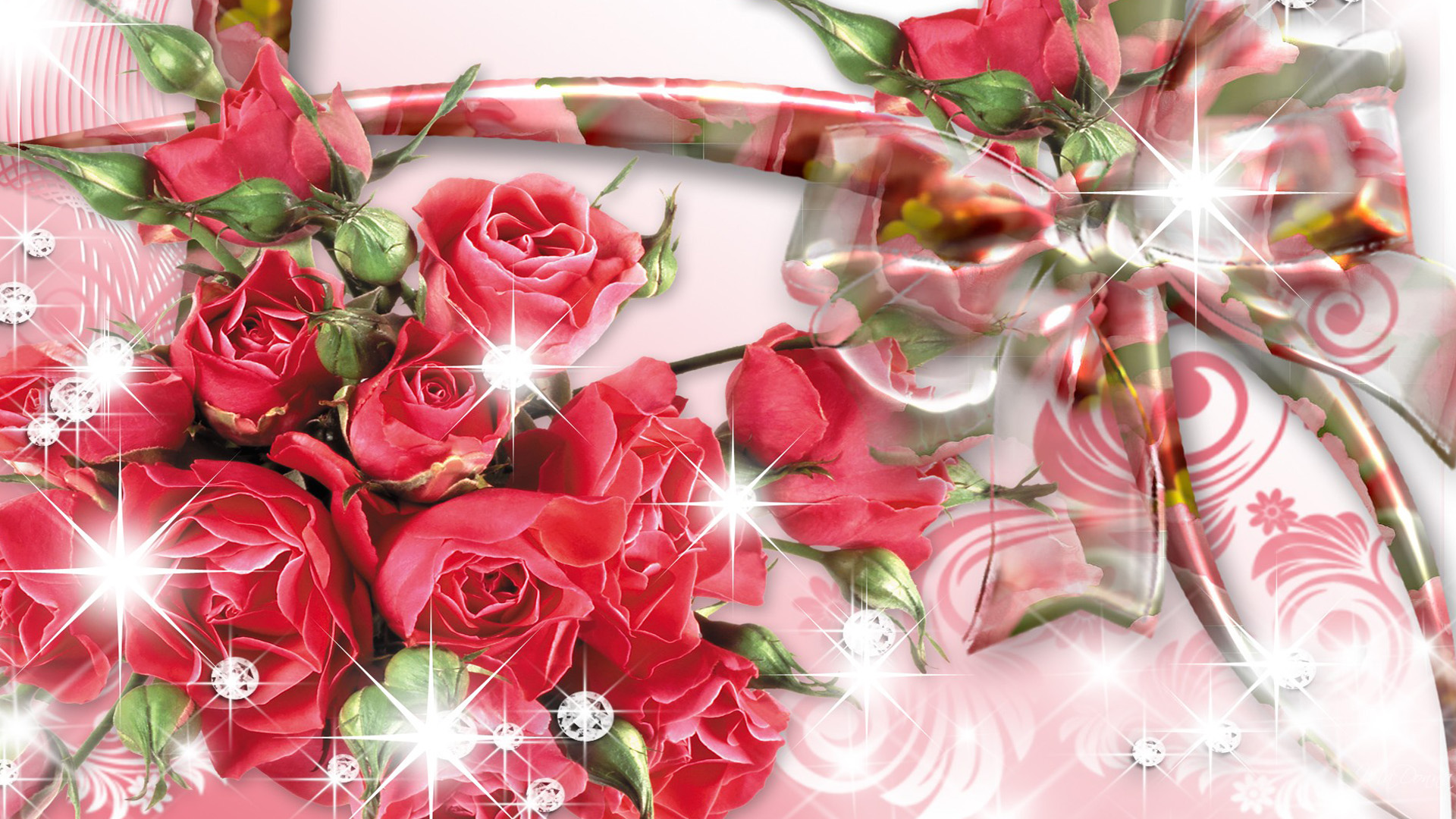 Wallpaper Collection Roses Wallpapersâ» - Red Roses With Shining Star - HD Wallpaper 